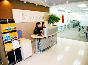 沈陽亨泰萊信息咨詢服務加入助威團，以專業(yè)力量賦能企業(yè)發(fā)展