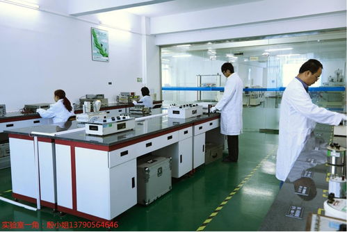 東莞工地設備計量校準下廠服務、外校與信息咨詢綜合解析